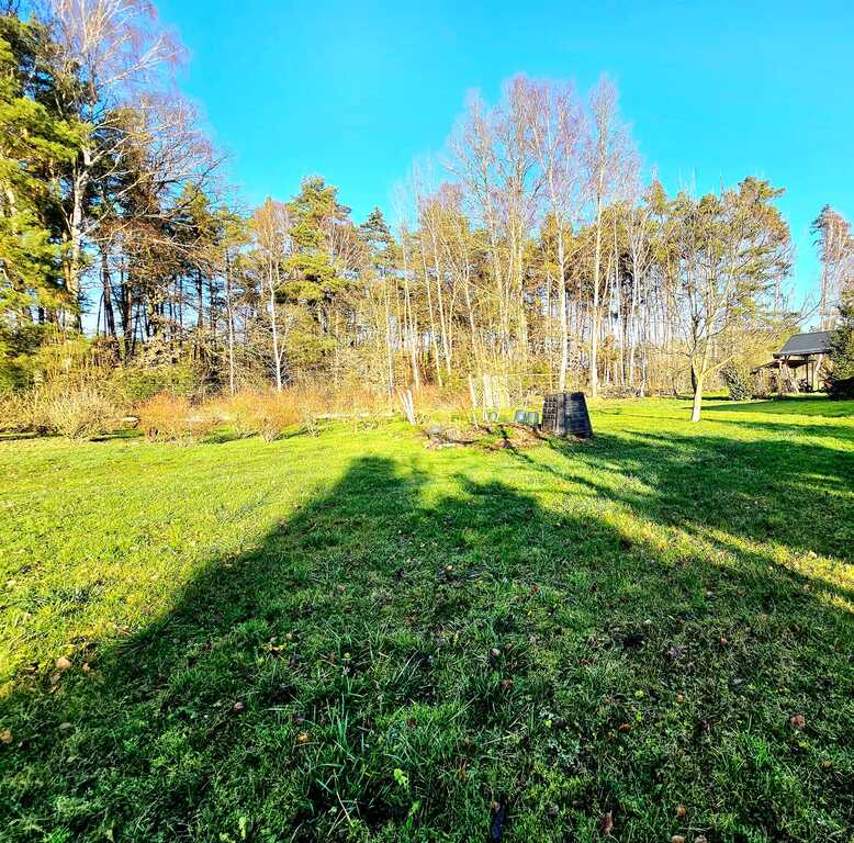 Dom pod samym lasem w Dobrej na dużej działce! (11)