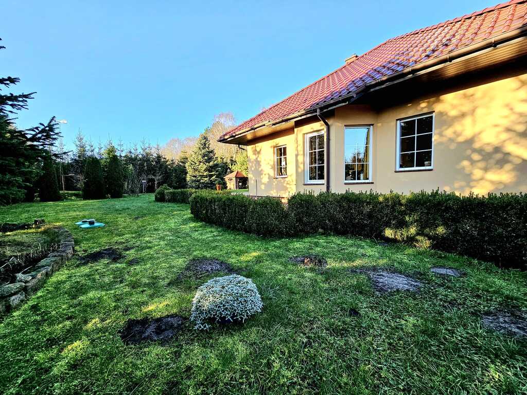 Dom pod samym lasem w Dobrej na dużej działce! (3)