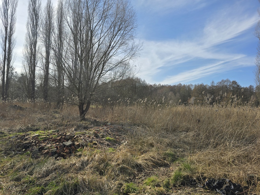 Piękna działka nad zalewem (2)