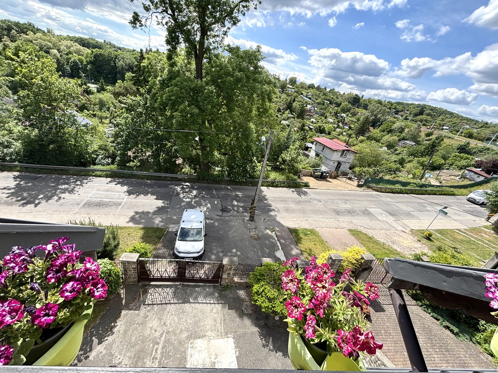 Dom z 3 lokalami mieszkalnymi Szczecin OKAZJA! (6)