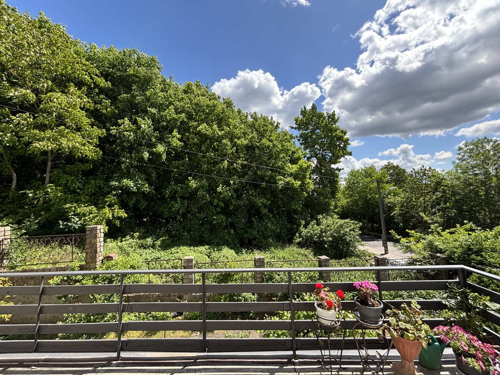 Dom z 3 lokalami mieszkalnymi Szczecin OKAZJA! (20)