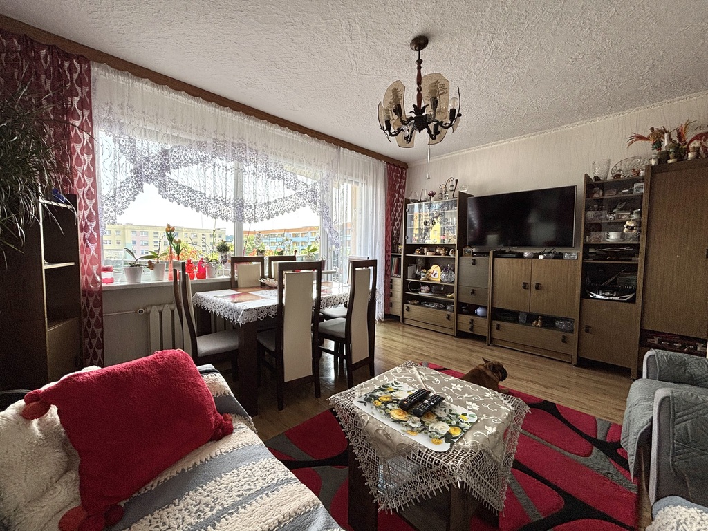 Mieszkanie 3 pokoje w centrum Polic! (2)