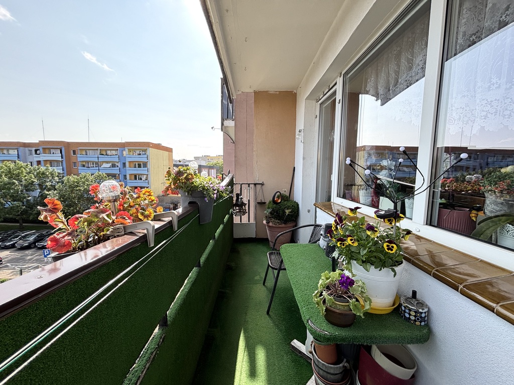 Mieszkanie 3 pokoje w centrum Polic! (10)