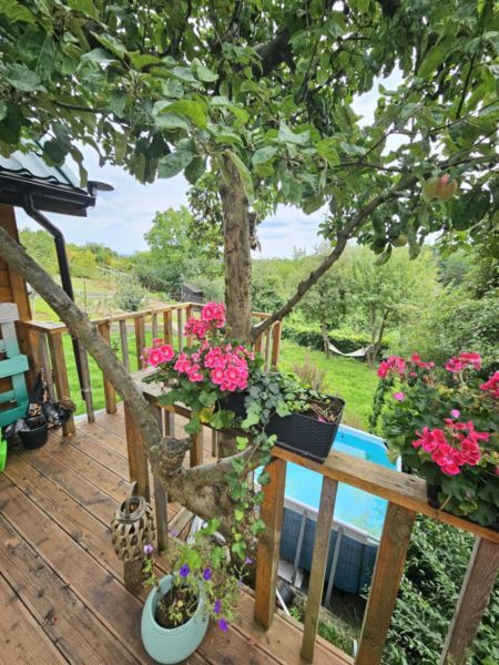 Działka ROD 402m2 z domkiem Szcz/Żelechowo (10)