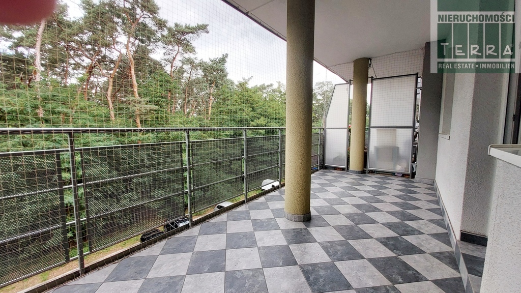 3 pokoje z widokiem na las (4)