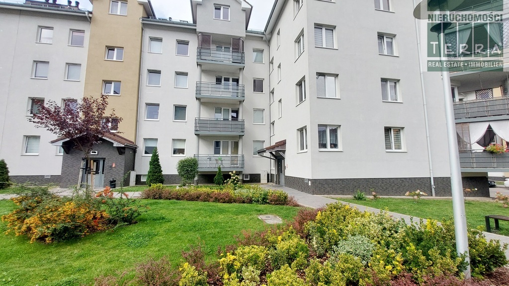 3 pokoje z widokiem na las (18)