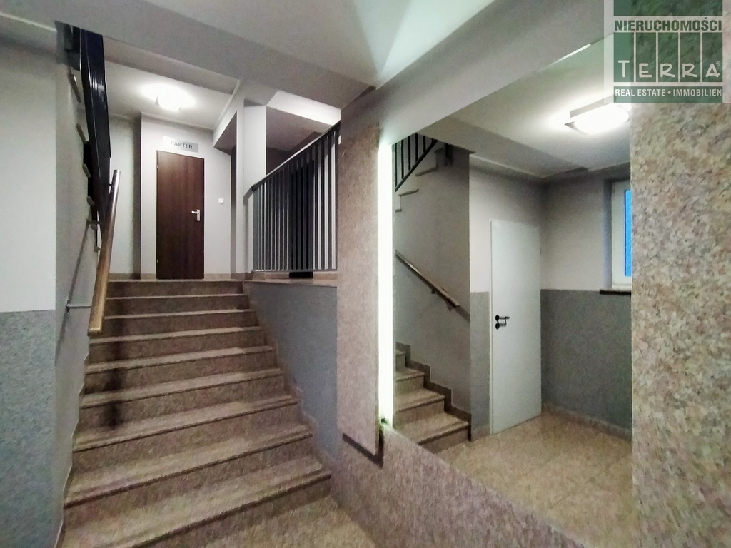 3 pokoje z widokiem na las (17)