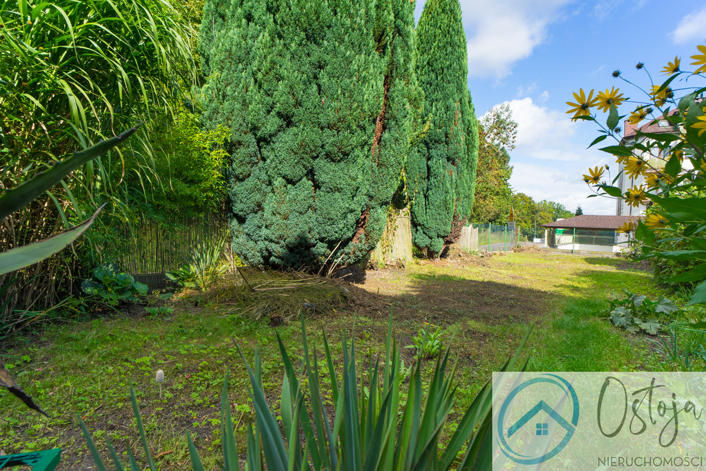 3 Pokoje z Ogrodem - BEZCZYNSZOWE (13)