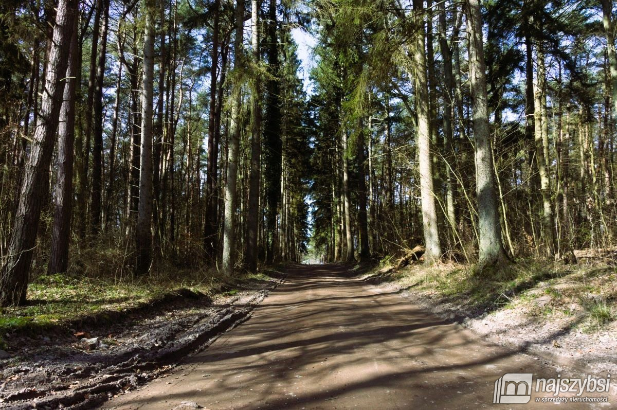 Pobierowo- działka budowlana 649m2. (6)