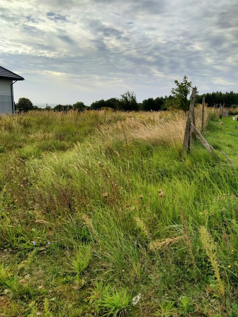 Działka Bukowo,642m2, plan,prąd,woda (5)