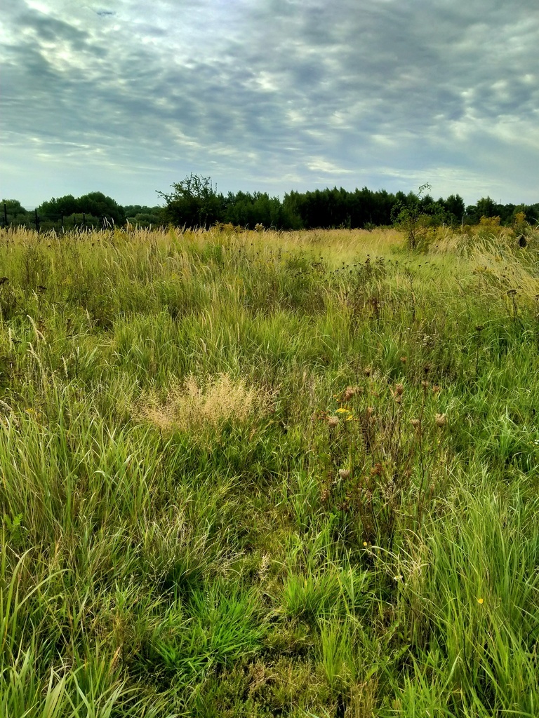 Działka Bukowo,642m2, plan,prąd,woda (1)