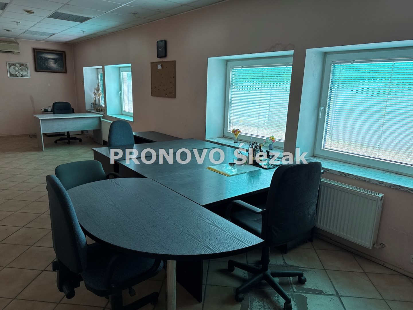 Sprzedam halę produkcyjno-magazynową Oborniki Śl. (2)