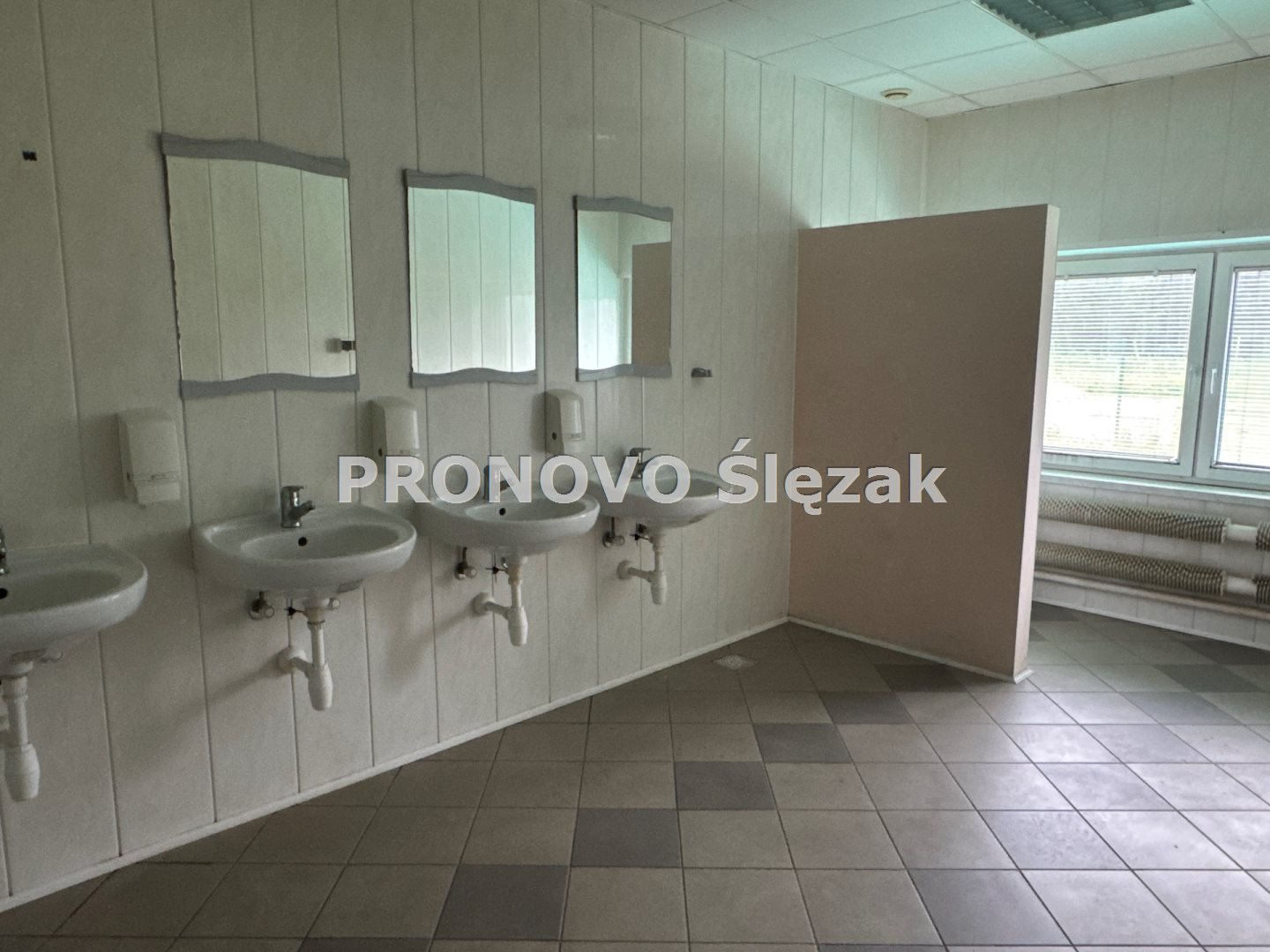 Sprzedam halę produkcyjno-magazynową Oborniki Śl. (4)