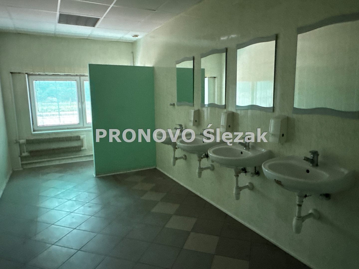 Sprzedam halę produkcyjno-magazynową Oborniki Śl. (7)