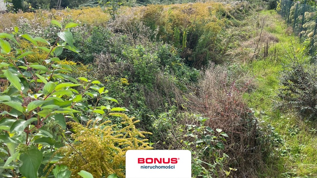 Działka z mpzp- top lokalizacja (Warszewo) (6)