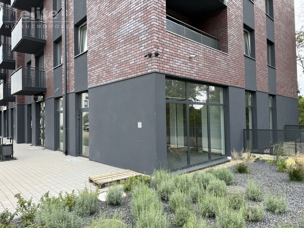 Nowa Cukrownia lokal 114m2 wykończony duże witryny (5)