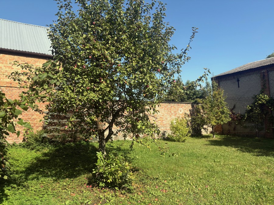 Kompleks domów, 390 m2, Dolice  (8)