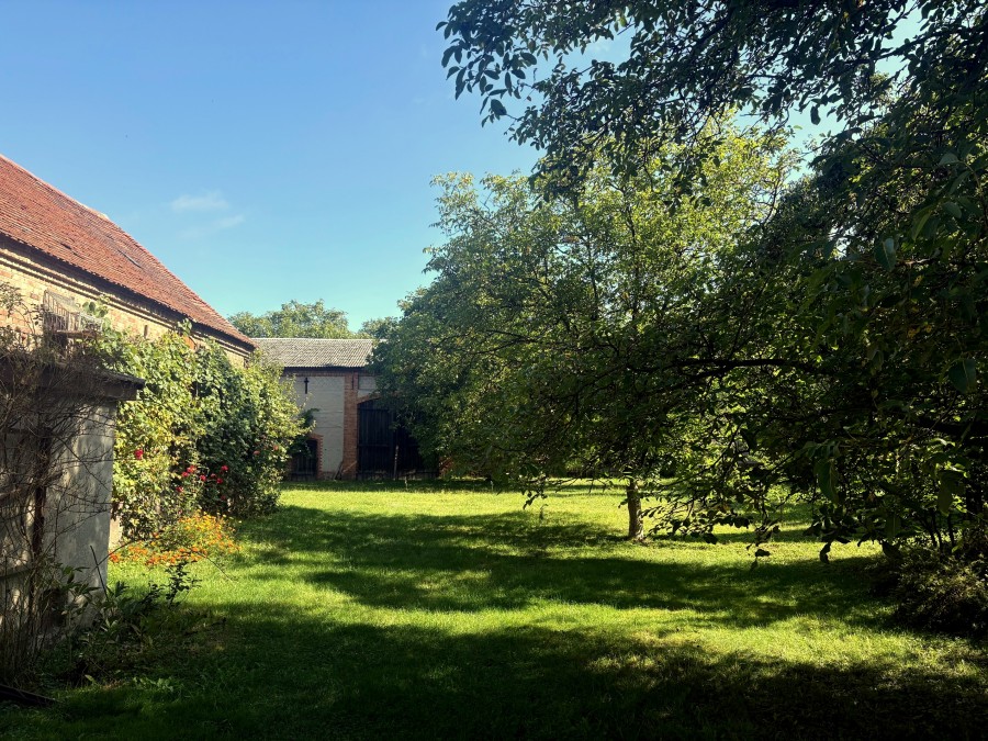 Obiekt, 390 m2, Dolice  (3)