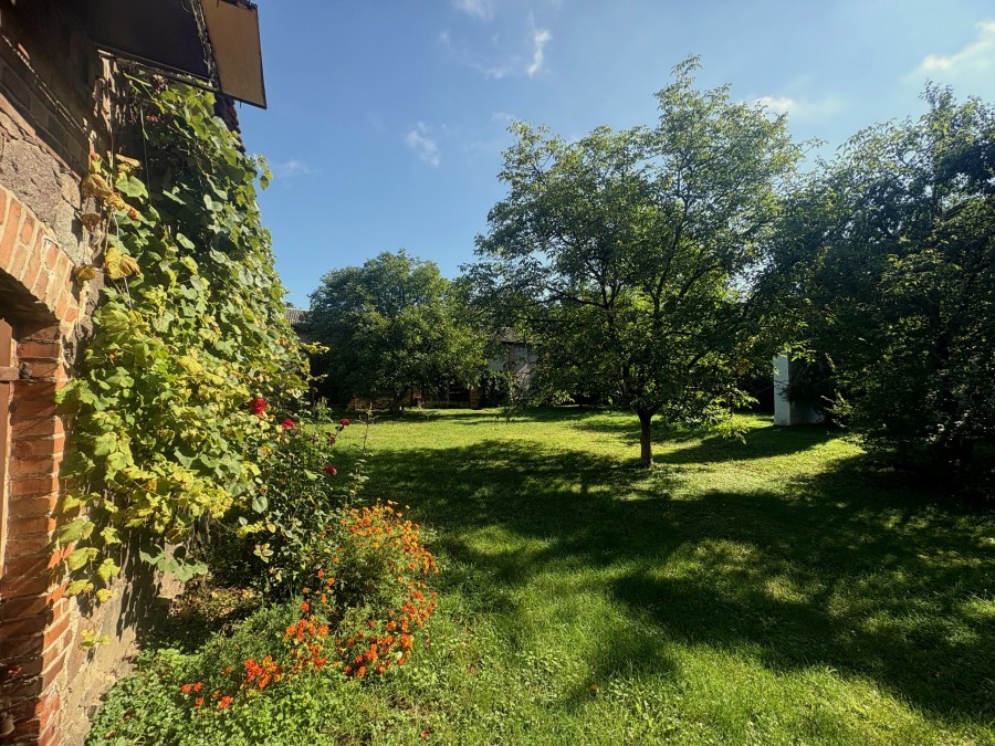 Obiekt, 390 m2, Dolice  (4)