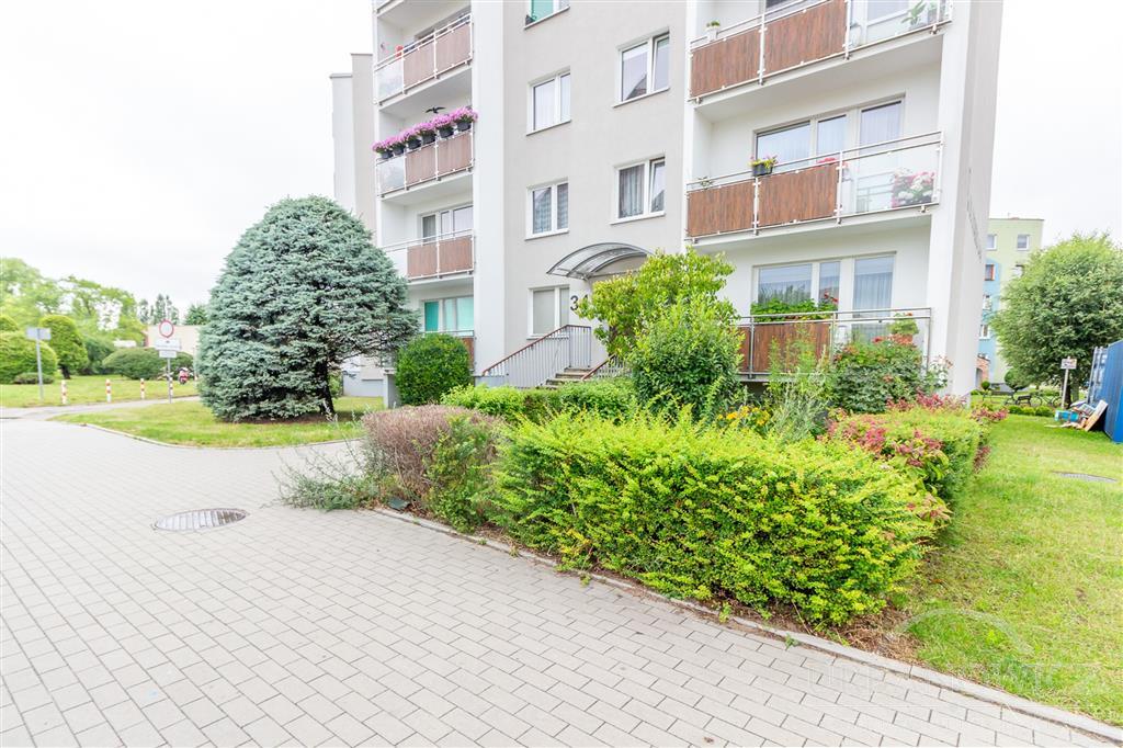 3 pokojowe na I piętrze, duża loggia, Staszica ! (10)