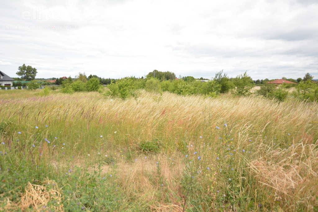 Rolna, 3,166 m2, Wąwelnica  (1)