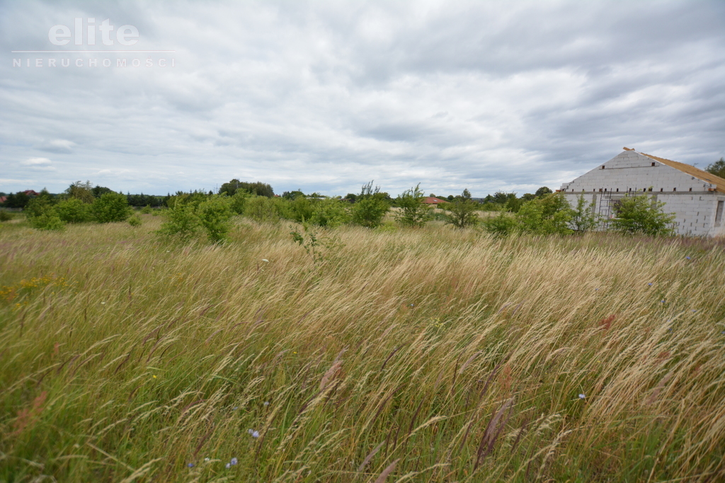 Rolna, 3,166 m2, Wąwelnica  (3)