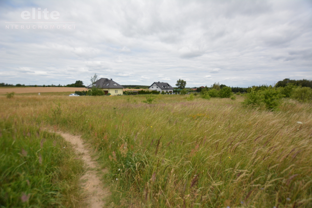 Rolna, 3,166 m2, Wąwelnica  (4)