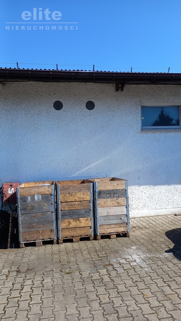 Obiekt, 495 m2, Przecław  (3)