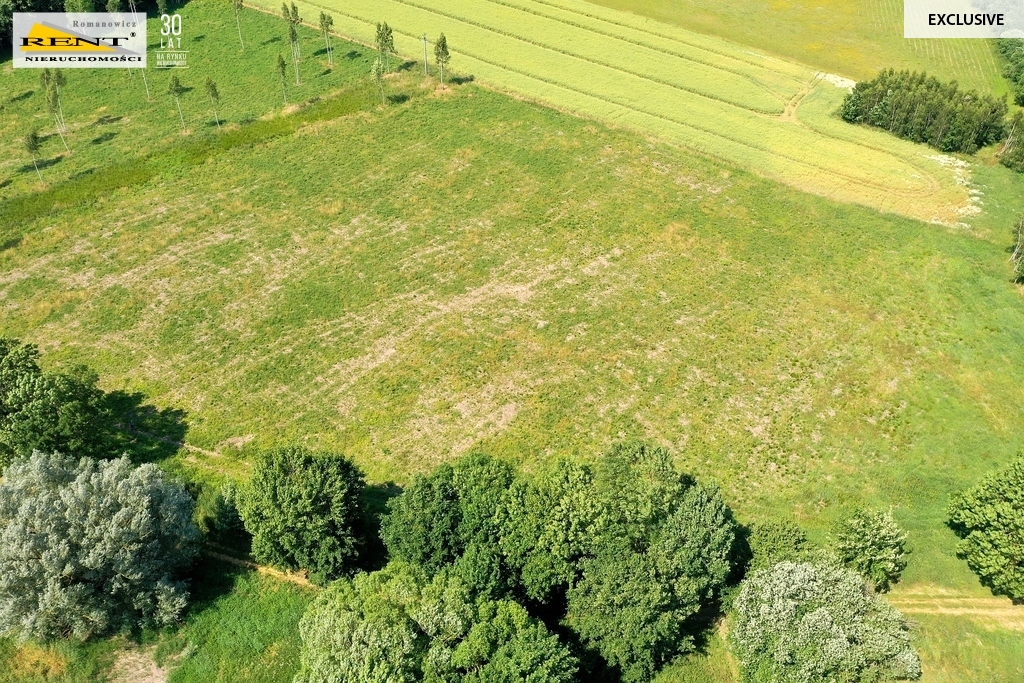 Działki w Ninikowie koło Rewala! (5)