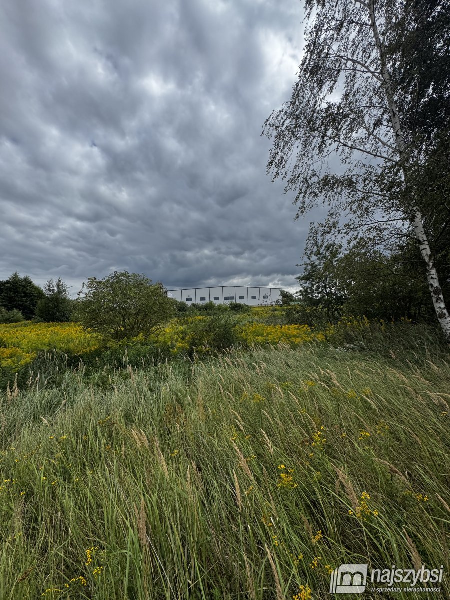 Szczecin- grunt pod działalność przemysłową (1)