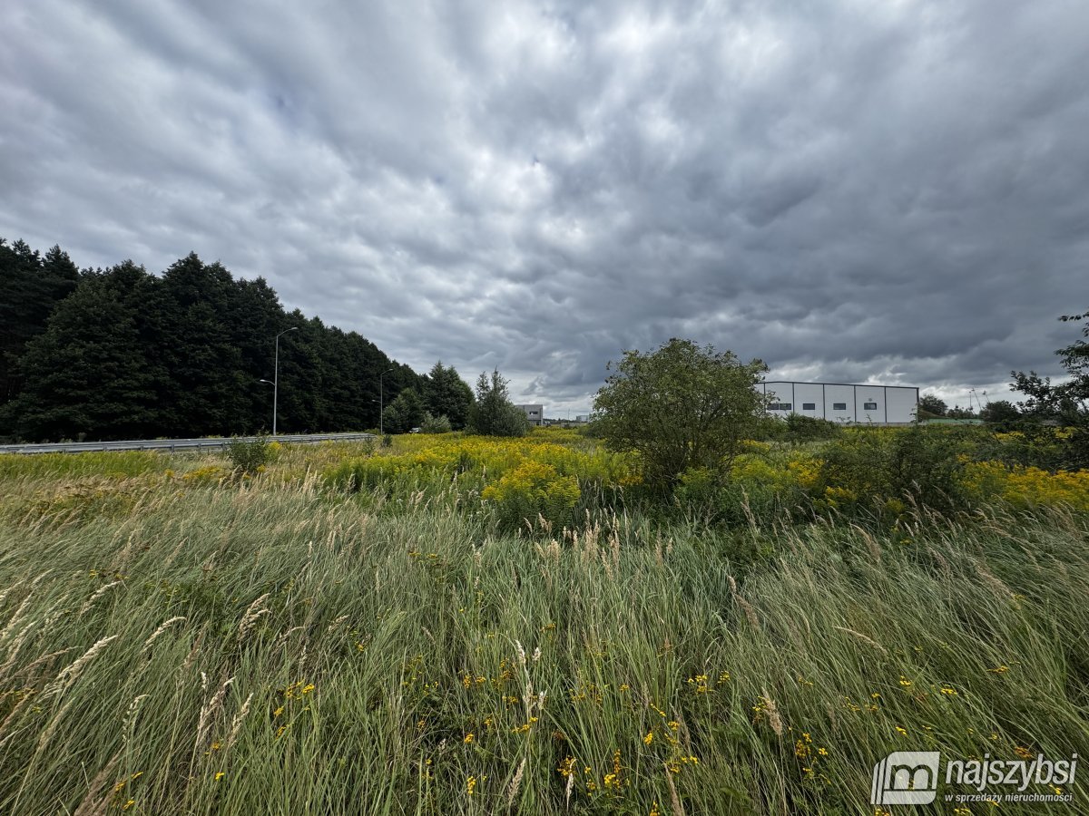 Szczecin- grunt pod działalność przemysłową (2)