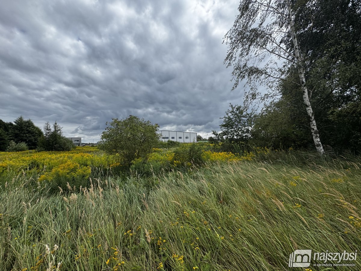 Szczecin- grunt pod działalność przemysłową (3)