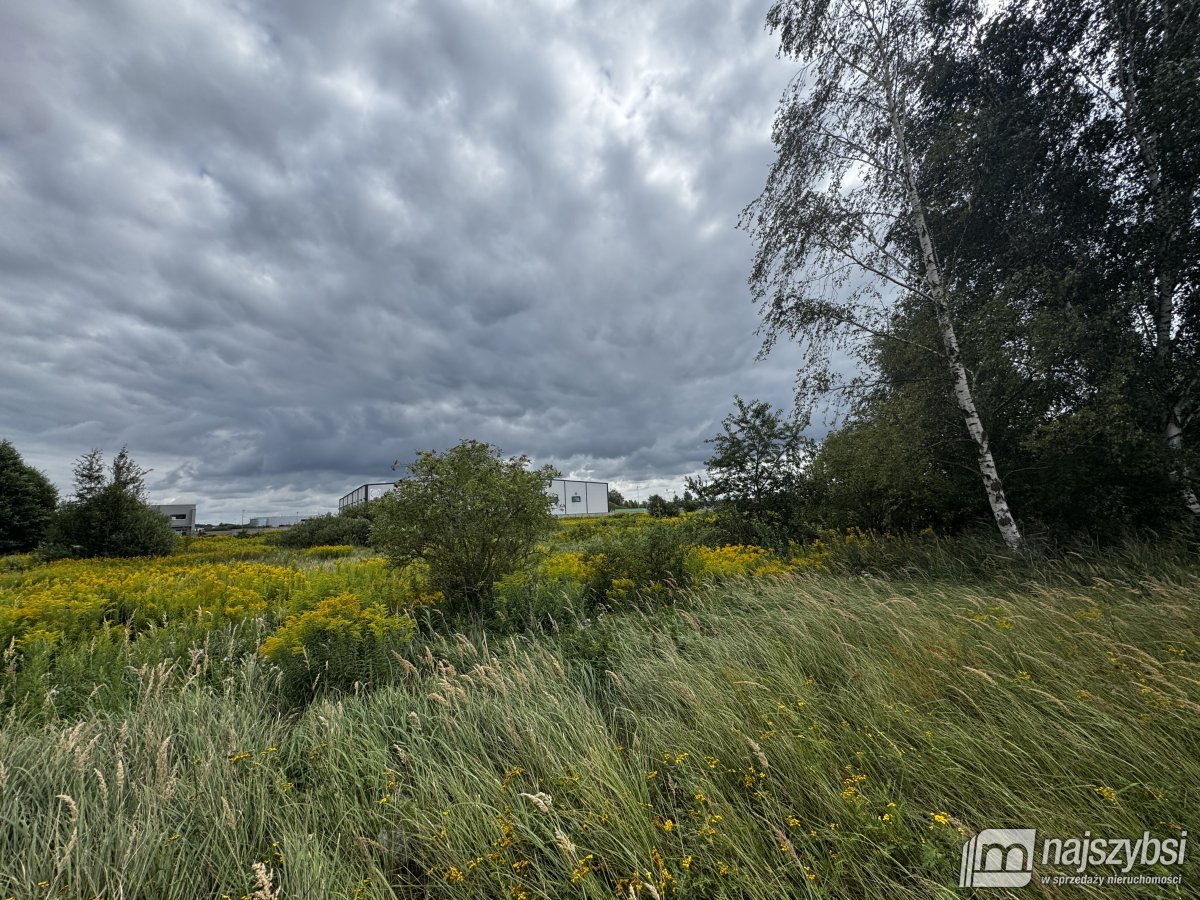 Szczecin- grunt pod działalność przemysłową (4)