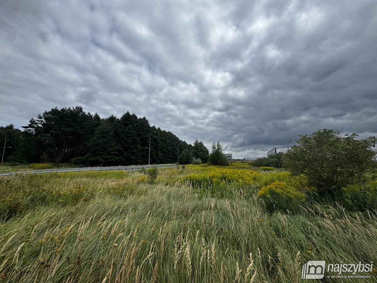 Szczecin- grunt pod działalność przemysłową (5)