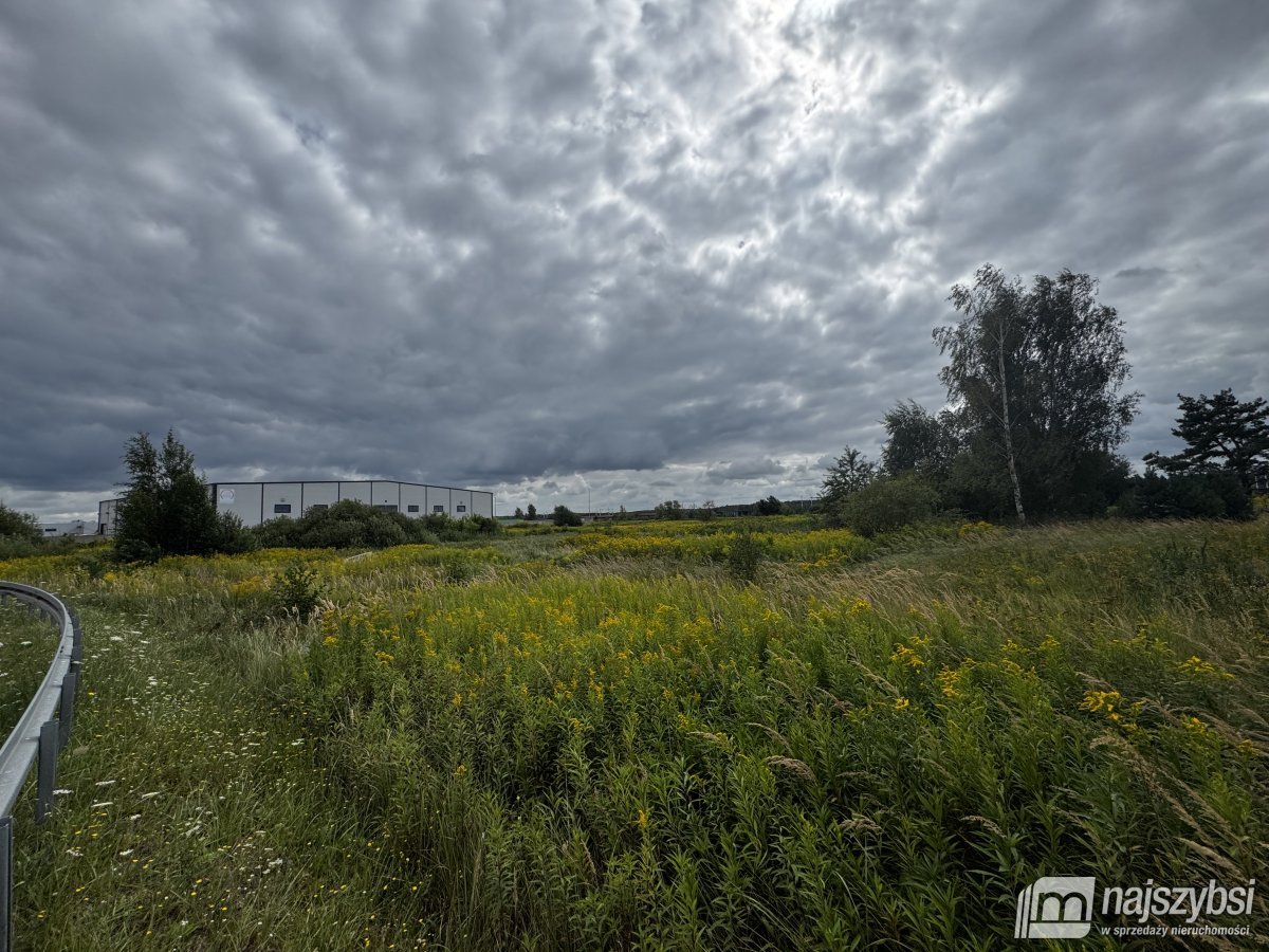 Szczecin- grunt pod działalność przemysłową (6)