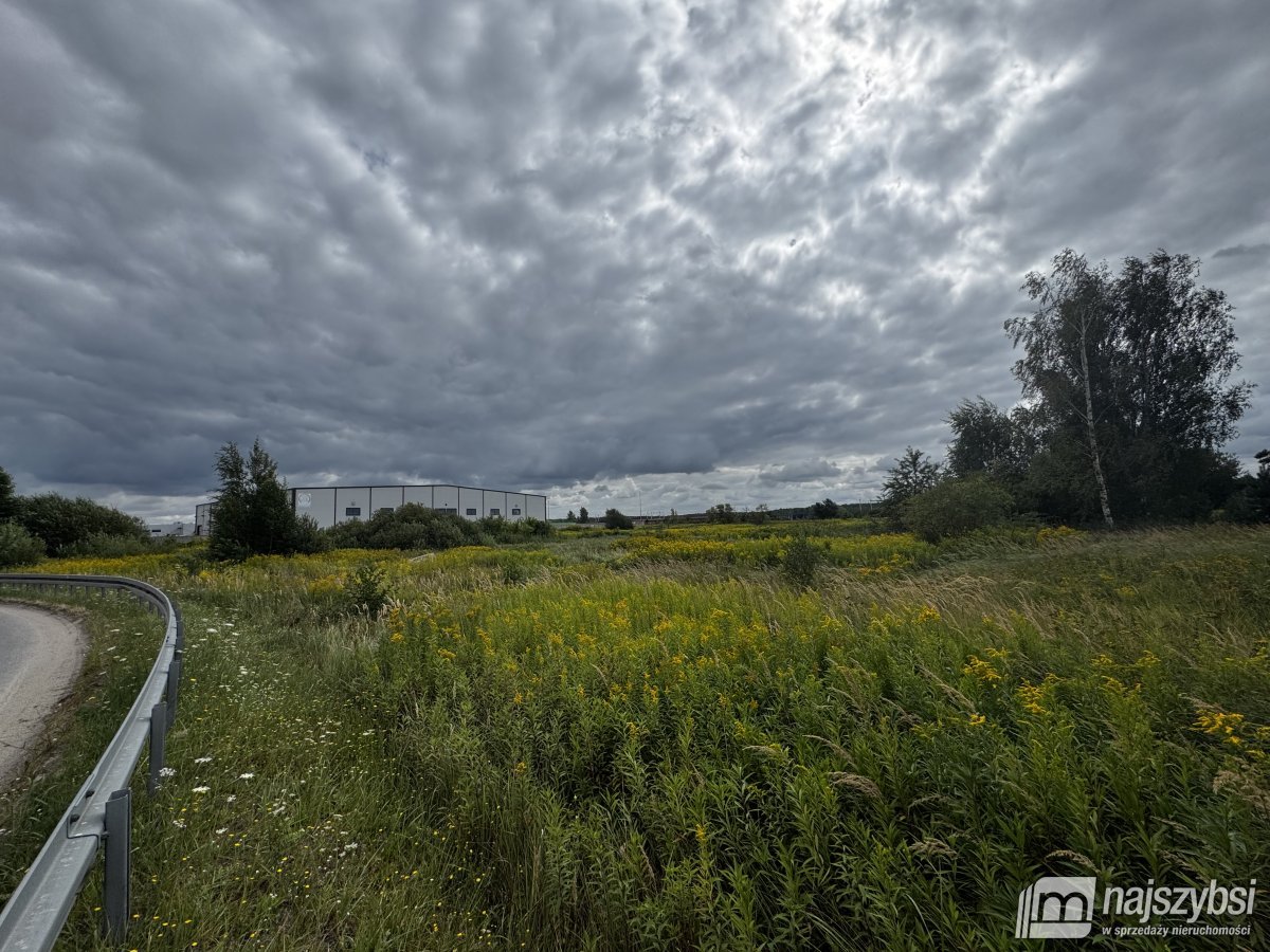 Szczecin- grunt pod działalność przemysłową (7)