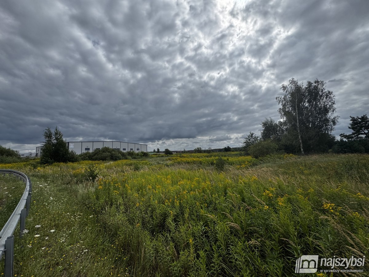 Szczecin- grunt pod działalność przemysłową (8)