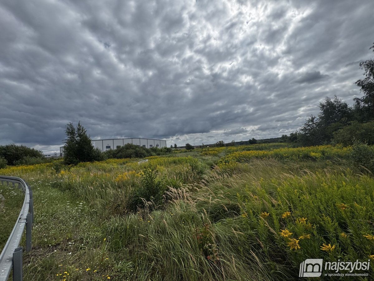 Szczecin- grunt pod działalność przemysłową (9)