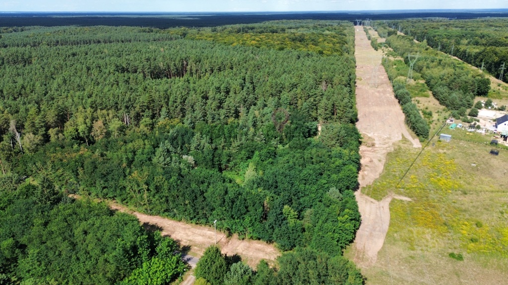 Duża działka Jezierzyce - Potencjał inwestycyjny (1)