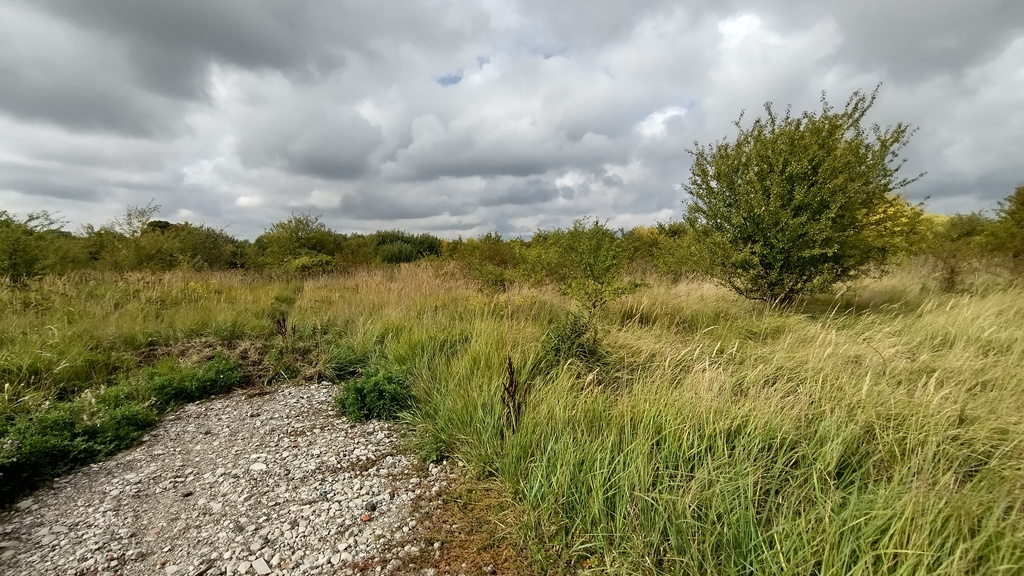 Niska cena za działkę w Mierzynie (1)