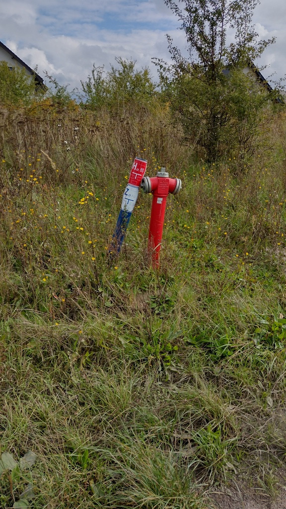Niska cena za działkę w Mierzynie (4)