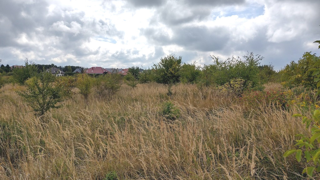 Działka wśród domów, Mierzyn ul. Kolorowa (3)