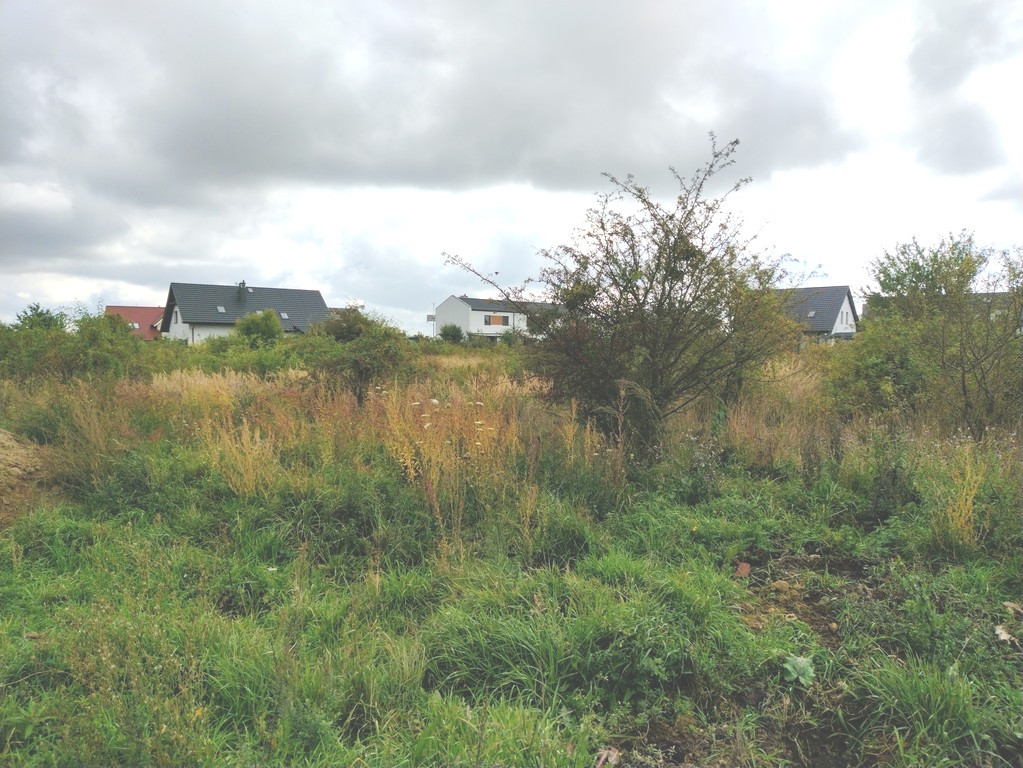 Działka w Mierzynie blisko szkoły (2)