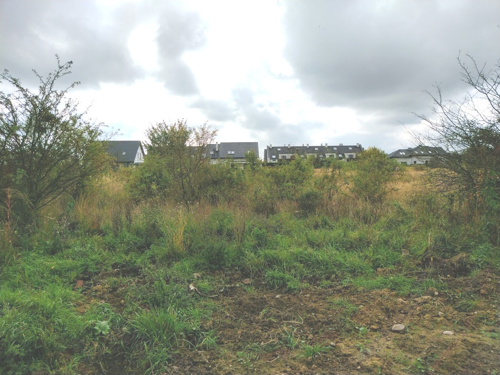 Działka w Mierzynie blisko szkoły (3)