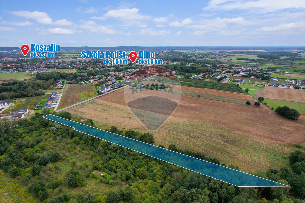 Działka w Konikowie 7705m2, idealna inwestycja! (3)