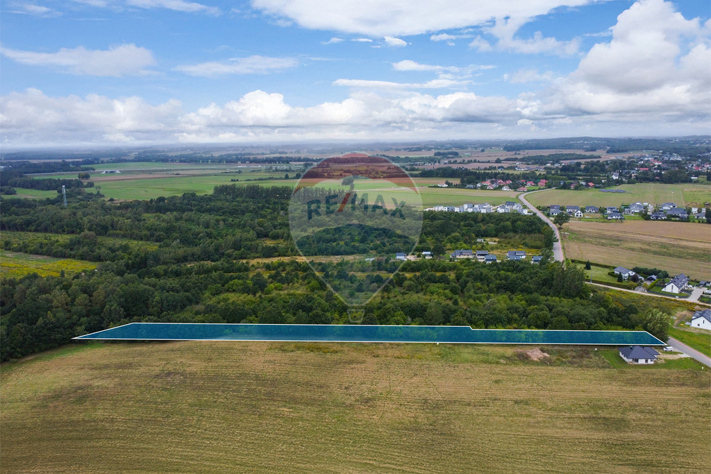Działka w Konikowie 7705m2, idealna inwestycja! (7)