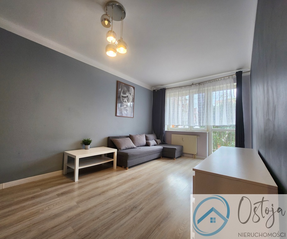 Duża kawalerka z balkonem - Ks. Pomorskich (1)