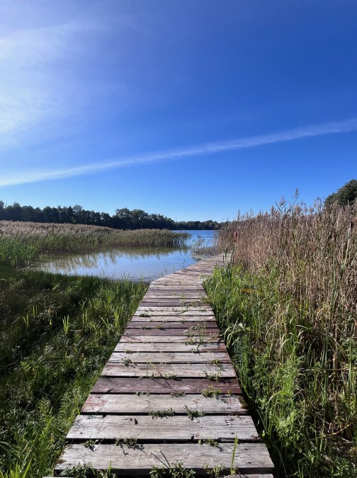 DZIAŁKA REKREACYJNA W POBLIŻU JEZIORA WAPNICA (4)