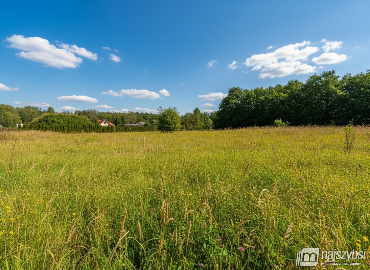 Goleniów- Działka inwestycyjna 1,6 ha z WZ (10)
