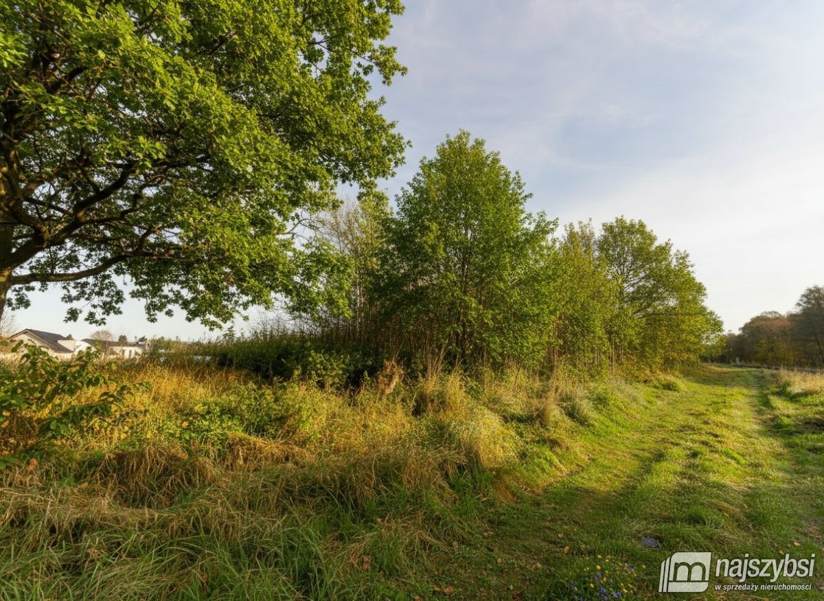 Goleniów- Działka inwestycyjna 1,6 ha z WZ (6)